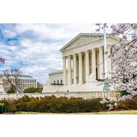Washington Private tour from New York with driver and guide