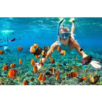 Orange Bay Private Snorkeling Cruise