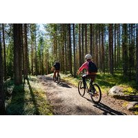Bike Rental in Rovaniemi