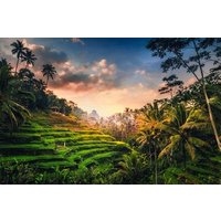 Save 20.00%! Ubud: Waterfall, Rice Terraces & Monkey Forest Private Tour