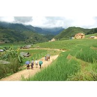 Sapa Trekking 2days by Bus from Hanoi (Overnight in Homestay)