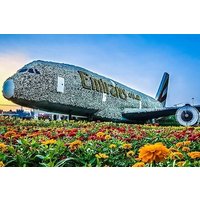 Dubai Miracle garden with optional transport