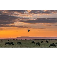 7 Days Honeymoon Luxury Safari to Four Season Lodge
