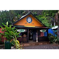 NineMile Tour: Journey to Bob Marley’s Birthplace & Resting Place