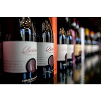 Wine Tasting and Winery Tour of Oltrepò Pavese Tradition