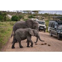 3 Days Private Tsavo East and West with Mzima Springs Safari