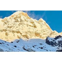 Annapurna Base Camp Trek with Chitwan Jungle Safari 11 Days Tour