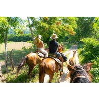 Horseback Riding Tour to the Hot Springs in Puerto Escondido
