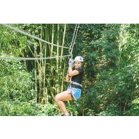 Dunn's River Falls and Park Tour with Zip Line from Montego Bay