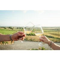 Winery tour and wine tasting in Maremma - Grosseto
