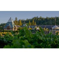 Healdsburg 6 Hour Private Wine Tour Feat. Coppola Winery, holds 4
