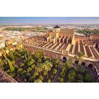 Full Day Private Tour from Seville to Cordoba with Tickets