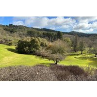 Hahndorf and Hills Wildlife Wonders