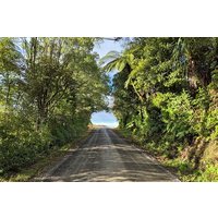 Bike Rental in Waitomo Caves