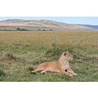 3 Days Samburu National Reserve Tour