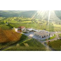 Bucharest: Private Wine Tasting Tour in the “Tuscany of Romania”