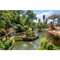 Madeira Tropical Gardens and Old Town Tuk Tuk Tour by MadTuk