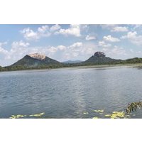 Dambulla and Sigiriya Day Tour from Colombo or Negombo