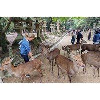 Private 3-Hour UNESCO Heritage Sites & Deer Park Tour