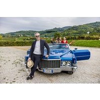 Experience - Visit and tasting in the Euganean Hills