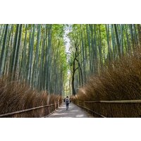 Viator Profitez de 67% de réduction Visite autoguidée des temples cachés de Kyoto