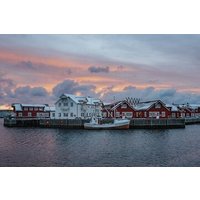 Half Day Lofoten Scenic Sightseeing Tour