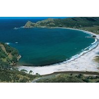 Auckland Region | Island Hopper Package Tour (2 Guests Minimum)