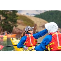 Sea Kayaking Lyttelton Harbour from Christchurch (Private Tour)