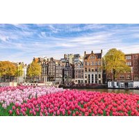 Private transfer from Brussels to Amsterdam, 2h Stop in The Hague
