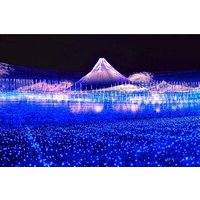 Nagoya Nagashima Outlet Mall & Nabana no Sato Park Day Tour