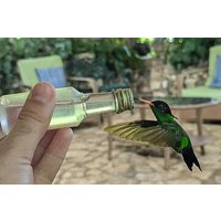 Montego Bay Bird Sancturary with Stunning Ocean Views