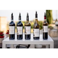 Tasting 5 Wines in Valpolicella with Taralli