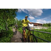 Save 10.00%! Bangkok Longtail Boat Canals and Chinatown Cycling Adventure
