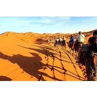 Save 5.00%! Treasures of Egypt Cairo & Nile Cruise, 9 Days Private Tour