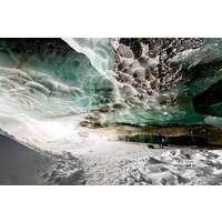 Full Alaskan Experience for Group of 5