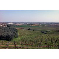 Prosecco Private Tour Valdobbiadene Conegliano