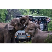 Udawalawe Jeep Safari from Bentota Aluthgama Berawula Area