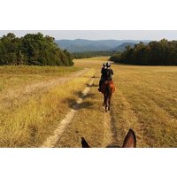 The Healing Hills Experience