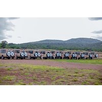7-Day Luxury All-Inclusive Tanzania Great Migration Safari