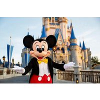 Walt Disney World Orlando Park Hopper Plus Tickets
