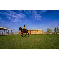 Dubai Al Marmoom Oasis Horse Riding Experience with Snack