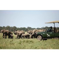 Four Day and Beyond Kichwa Tembo Luxury Safari