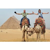 Half an Hour Camel Ride in Giza