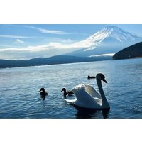 Mount Fuji (Mt. fuji) private tour by car with pickup from Tokyo