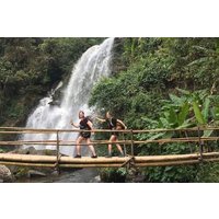 From Chiang Mai: Doi Inthanon Park & Pha Dok Siew Waterfall Hike