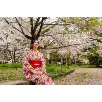Sakura Season Photoshoot Experience in Kyoto