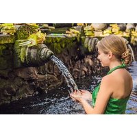 All-Inclusive Ubud's Wonder Day Tour
