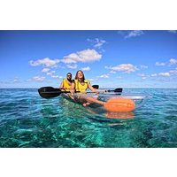 ATV Tour El Viejo y Yo Beach Pass with Lunch, Snorkel and Kayaks