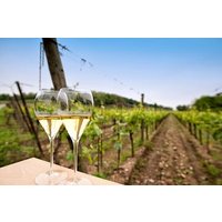 Franciacorta Wine Tasting Tour from Milan with Lake Iseo Cruise