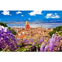 Private direct transfer: Monaco to Saint Tropez, private driver